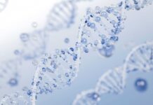 PDRN: origine, effetti sulla cute e impiego nelle formulazioni cosmetiche PDRN: origine, effetti sulla cute e impiego nelle formulazioni cosmetiche