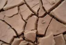 Argille Ibomvu e Umcako come materie prime cosmetiche Argille Ibomvu e Umcako come materie prime cosmetiche