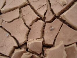 Argille Ibomvu e Umcako come materie prime cosmetiche Argille Ibomvu e Umcako come materie prime cosmetiche