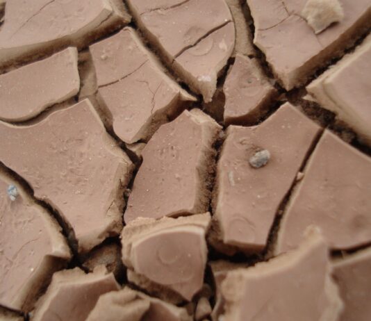 Argille Ibomvu e Umcako come materie prime cosmetiche Argille Ibomvu e Umcako come materie prime cosmetiche
