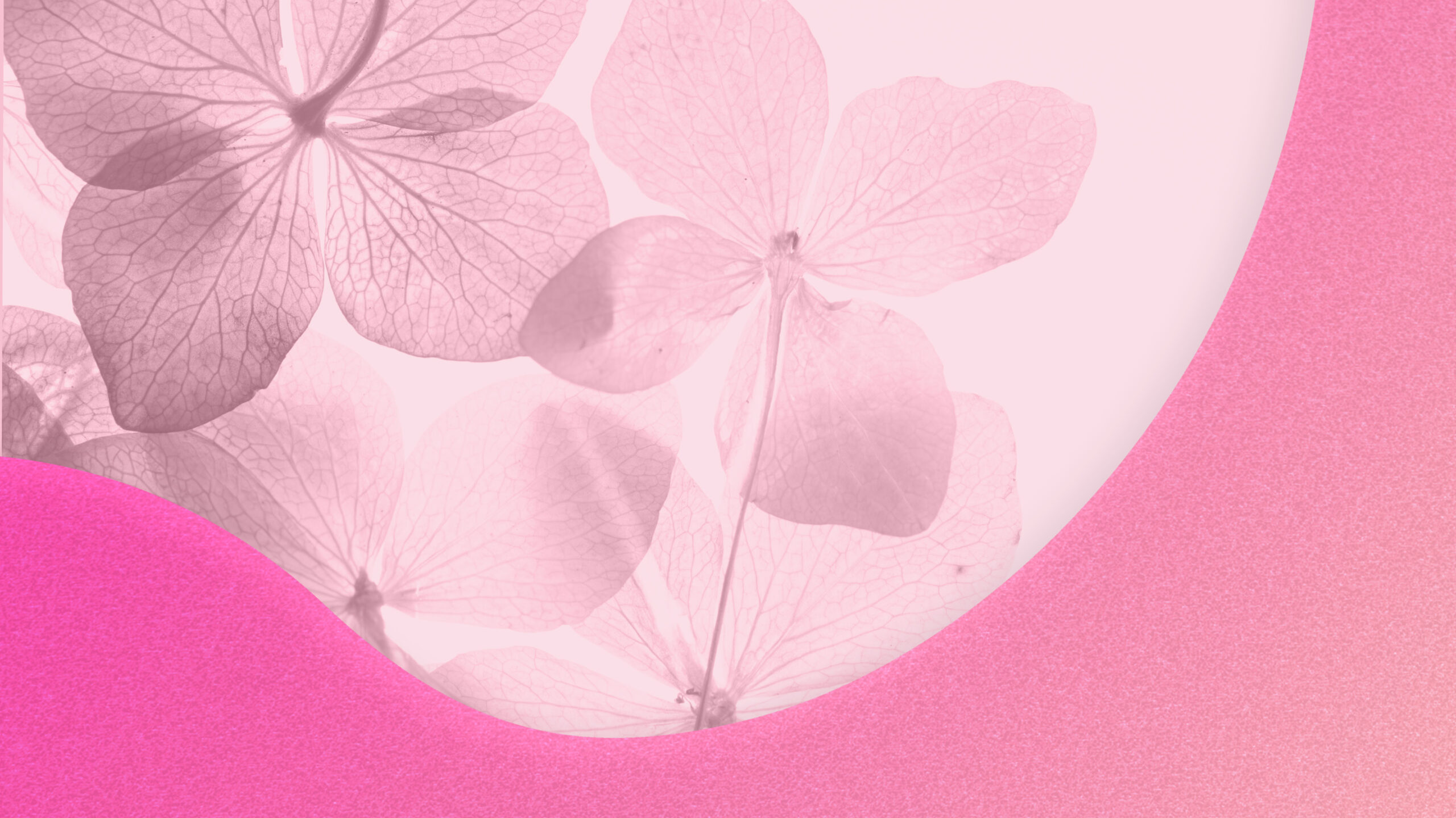 Quando l'equilibrio è la cura, scegliere un attivo gentile fa la differenza Quando l'equilibrio è la cura, scegliere un attivo gentile fa la differenza