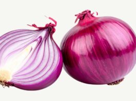 Proprietà antiage della quercetina degli estratti di foglie di cipolla Proprietà antiage della quercetina degli estratti di foglie di cipolla