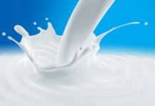 L’esegesi e l’ermeneutica