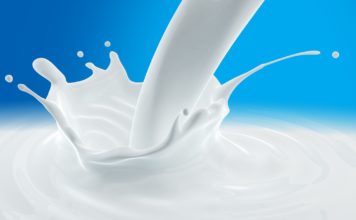 L’esegesi e l’ermeneutica