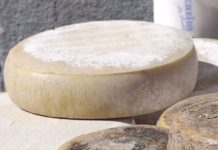 Valorizzare i formaggi DOP/IGP con l’IA