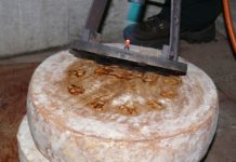 Fermenti autoctoni per valorizzare la tipicità