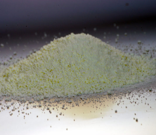 Nasce APPLI, associazione produttori proteine del latte