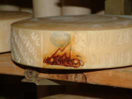Montasio: forma marchiata