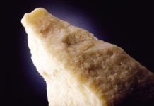 Parmigiano Reggiano, vettore di microbi in grado di colonizzare l’intestino