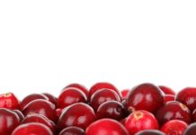 I cranberry “rafforzerebbero” gli antibiotici nella lotta ai batteri