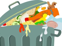 Oltre lo spreco: come gestire le eccedenze alimentari Spreco alimentare