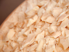 Al via il progetto SUSTCheese