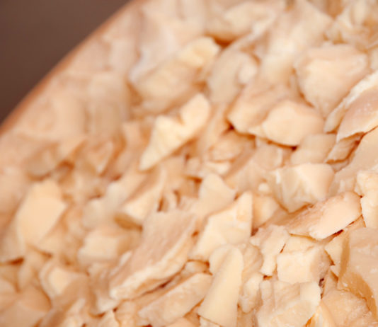 Al via il progetto SUSTCheese