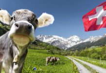 La Svizzera procede sulla caratterizzazione degli alimenti di origine animale