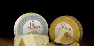 Forme di Asiago