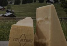 Concast: i dati del 2025