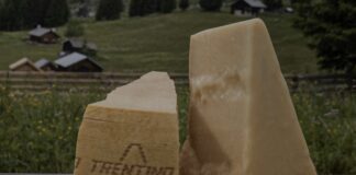 Concast: i dati del 2025