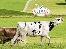 Alival (Lactalis) intende chiudere due stabilimenti italiani