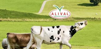 Alival (Lactalis) intende chiudere due stabilimenti italiani