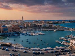 focus mediterraneo