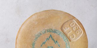 Forma di formaggio Fontina