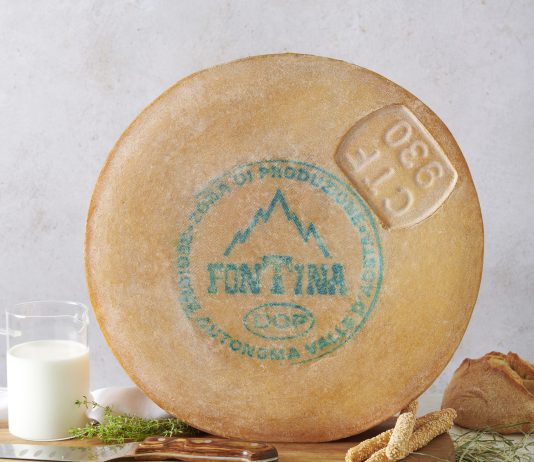 Forma di formaggio Fontina