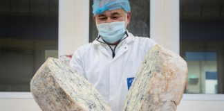 taglio di gorgonzola