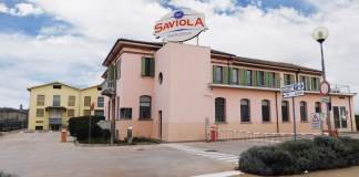 sede Saviola