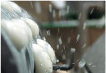 Macchinari per paste filate