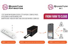 Test aflatossina M1 e antibiotici senza incubazione