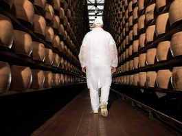 Lactalis esporta oltre 105.000 tonnellate di formaggio italiano