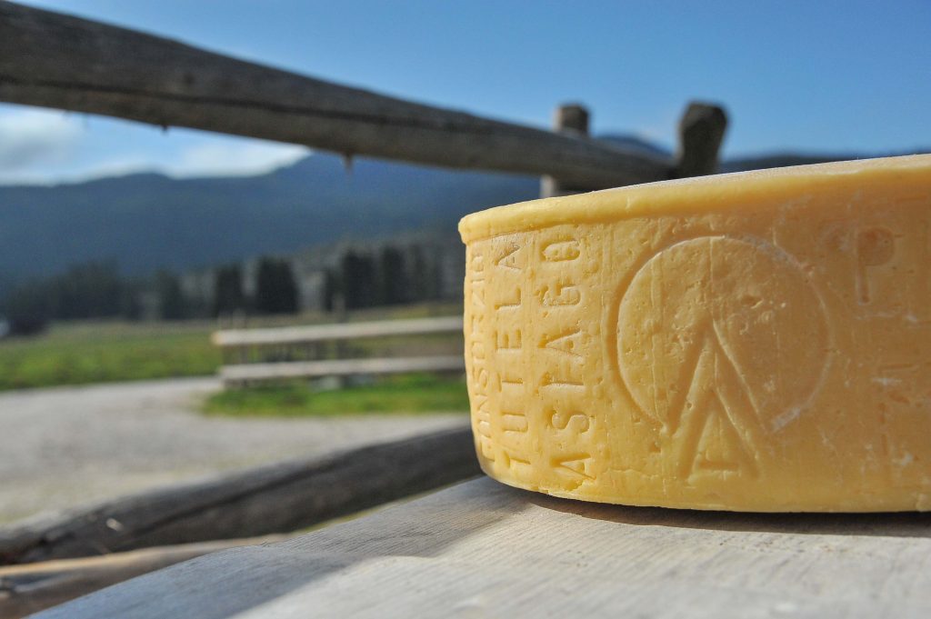 Forma di Asiago DOP prodotto della montagna