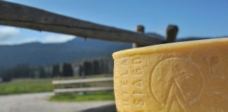 Forma di Asiago DOP prodotto della montagna