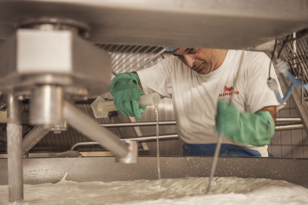 Lactalis investe nella Mozzarella di Bufala Campana potenziando lo stabilimento Mandara di Mondragone