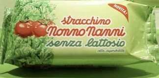 stracchino senza lattosio Nonno Nanni