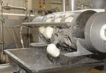 Le mozzarelle di Fattoria Latte Sano nascono a Rieti