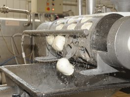 Le mozzarelle di Fattoria Latte Sano nascono a Rieti