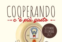 Cooperando c’è più gusto