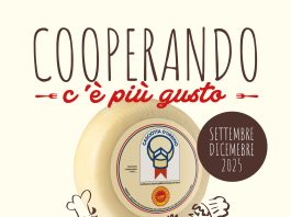 Cooperando c’è più gusto