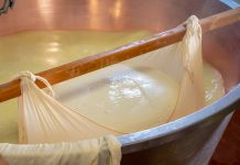 La classificazione dell’additivo conservante lisozima è competenza UE