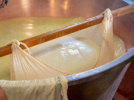 La classificazione dell’additivo conservante lisozima è competenza UE