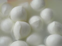 Nuova sentenza sul latte di bufala concentrato e congelato