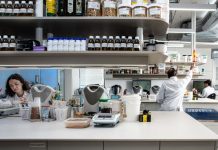 Da AKA Foods un sistema IA per l’innovazione alimentare