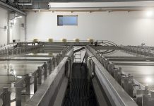 Salatura completamente automatizzata