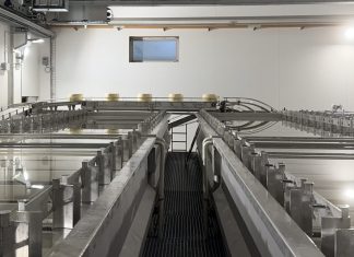 Salatura completamente automatizzata