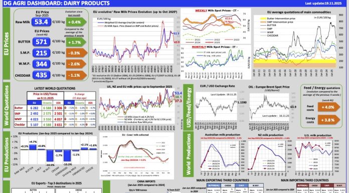 Aggiornamento mercati 19-11-2025