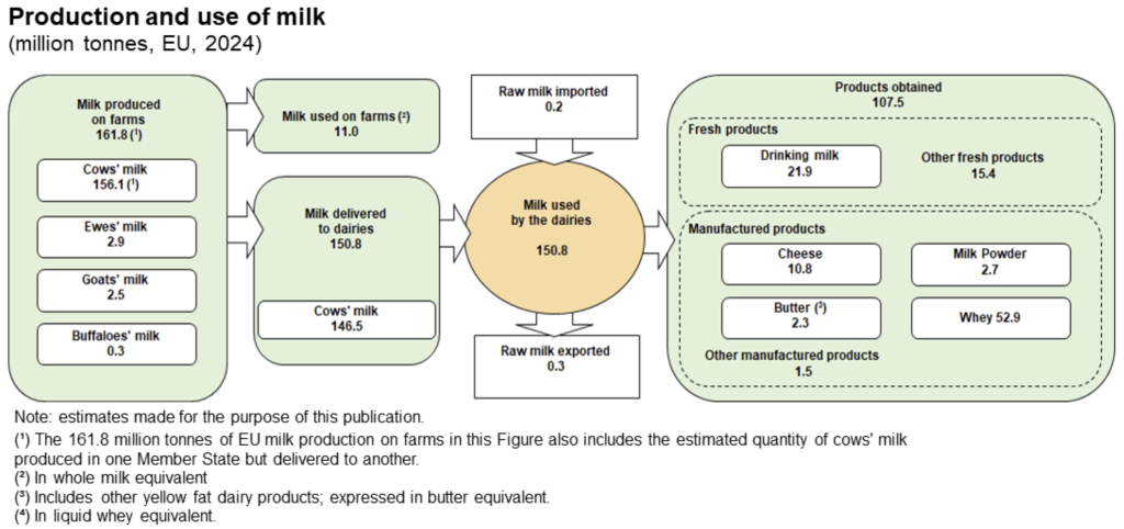 Eurostat: produzione di latte UE nel 2024 e relativi utilizzi