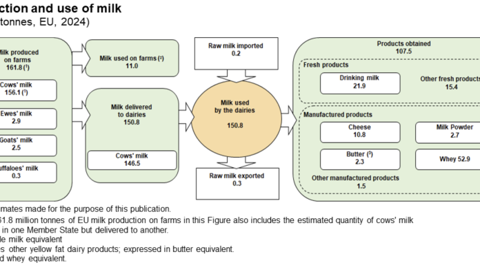 La produzione UE di latte nel 2024 pari a 161,8 milioni ton.