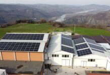 DalterFood pubblica il quarto report di sostenibilità