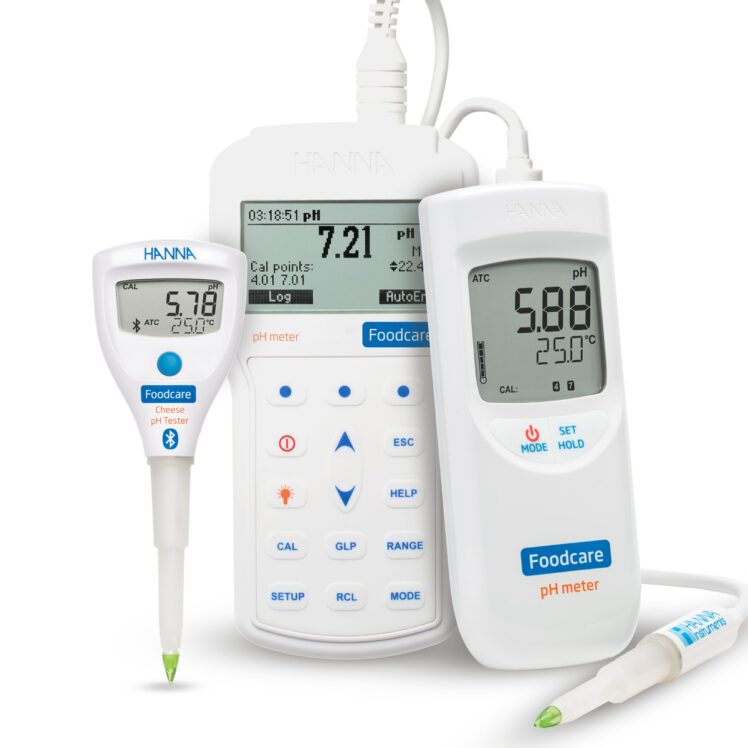 I pHmetri Hanna HI98161 e HI99161 sono ideali per chi cerca questa precisione ma anche facilità d’uso